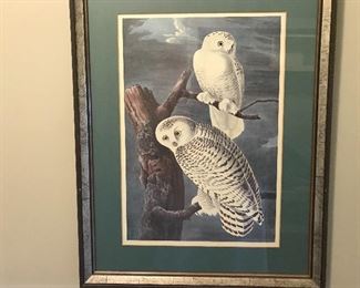 framed owls