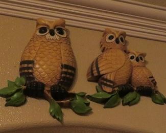 Owls