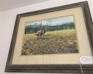 Austin Deuel 1939-current