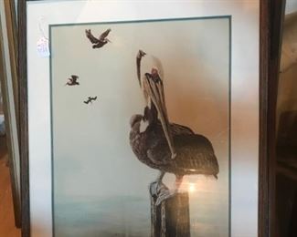 FRAMED PELICAN PICTURE