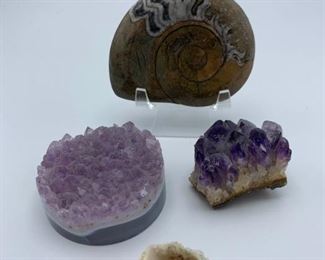 Fossils and Stones