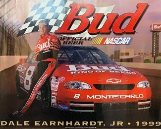 Dale Earnhardt Jr., 1999