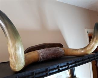 Vintage Longhorn Steer horns