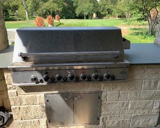 Built In DCS Grill & Stainless Doors