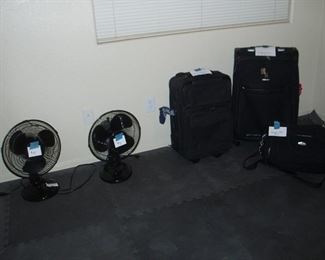 Fans, Luggage