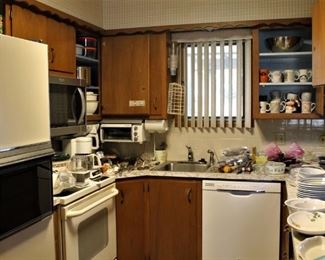 Lots of kitchen items to choose from.