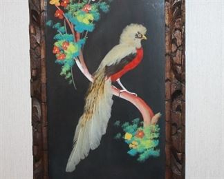 Mexican feathered bird picture.