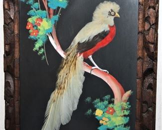 Mexican feather bird picture