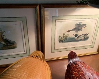 Framed Audobon Prints