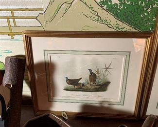 Framed Audobon Prints