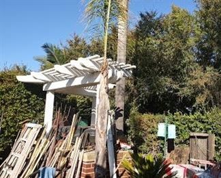 Potted Palm Tree