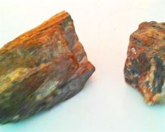 Petrified wood