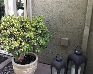 Lanterns and a few potted plants