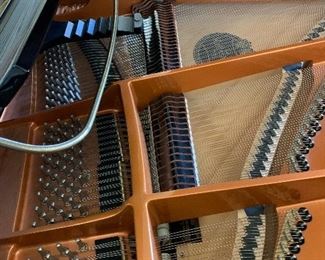 Schimmel Grand Piano