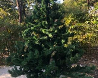 Deluxe Christmas Tree 12 ft tall 9 ft tall...the tree is not fully opened in this photo, it will be at the sale....this tree is very big and LUSH! 