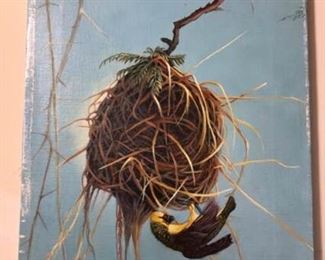 Bird and Nest