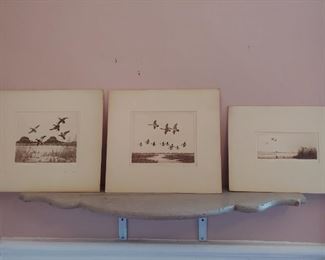 More waterfowl etchings