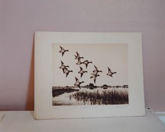 Various etchings of waterfowl