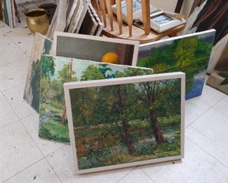 Landscapes from Audubon Park, and sometimes City Park