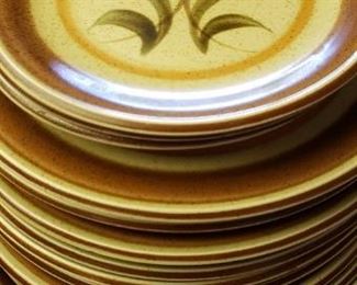 Canyon Kraft Premiere Stoneware Complete Plate Set