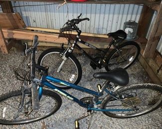 Sterling Mega Street Lady's 12 Speed Bike &
Magna Lady's Mountain Bike 18 Speed