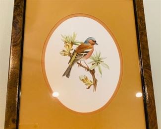 Great Picture for Bird Lovers!