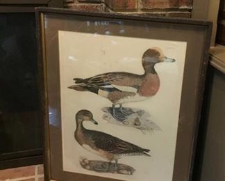 Vintage Framed Duck Wall Decor (with glass)