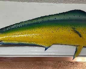 Mahi Mahi
