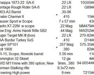 Gun Data (subject to change)