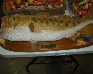 1958 mount 7lb 16oz Lake Conway