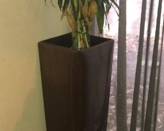 Indoor planter with Pho plant