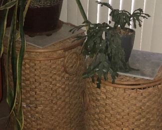 Wicker basket and plants