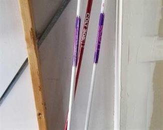 	Ski Poles
