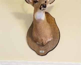 Oh Deer