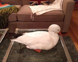 Sofa styles well with many colors and tastes