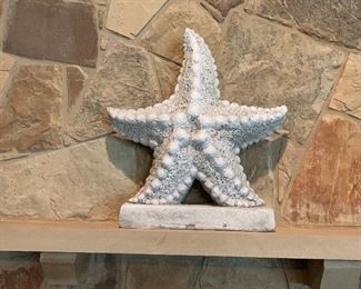 Large starfish