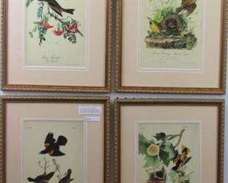 Birds by John Audubon