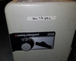 Sentry valueguard safe