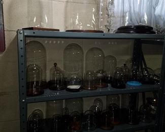 Domes for displaying watches and other small items