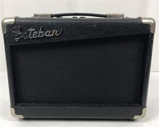 Lot 035
Esteban G-10 Guitar Amplifier