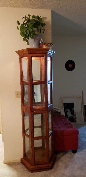 Curio cabinet with light