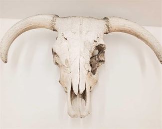 1027: Skull
Measures approx 30"x20"