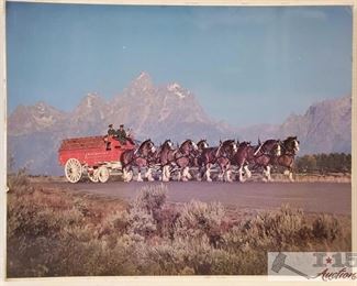 #4631 • Budweiser Wagon Pulled by Clydesdale Horses Photo