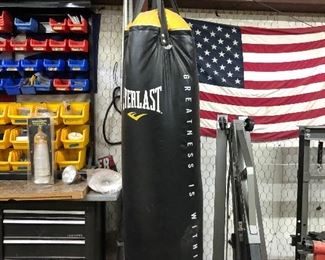 Everlast Punching Bag