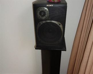 we have a pair of these sony speakers