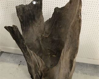 Large Cypress Stump