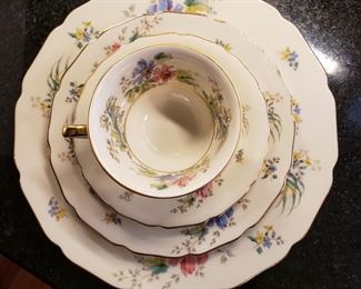 Thomas Ivory Bavarian china