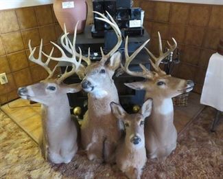 more deer mounts