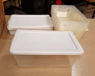 8 shoebox-size totes with lids