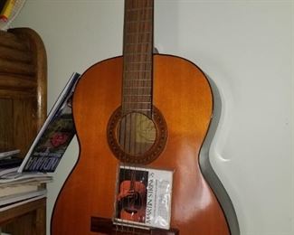 Acoustic Guitar , Lyle Guitar 